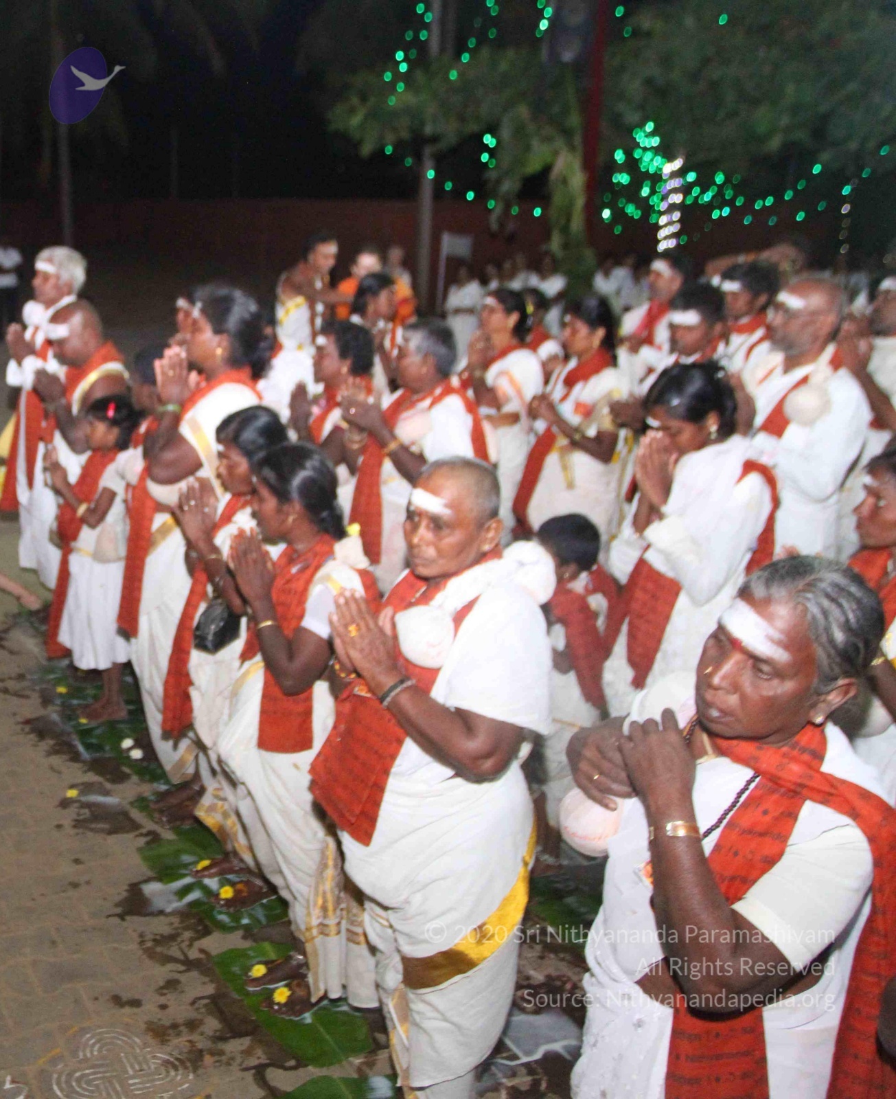 IMG_9154_CMP_WM done